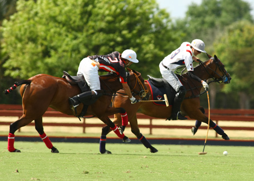 polo magazine the international polo clu 1