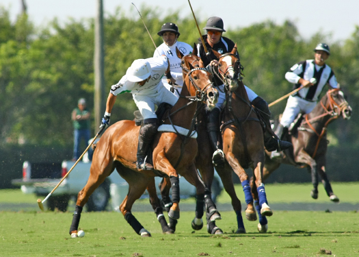 Iglehart Polo Cup Finals Polo polo club polo magazine polo photos Alex Pacheco 4