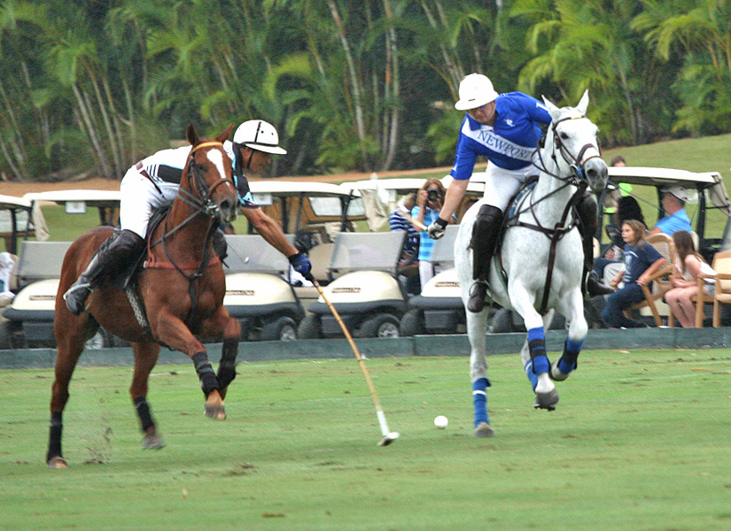 palmrestuarantinvitationalpolomagazinepolotournamentpachecopolophotos 2