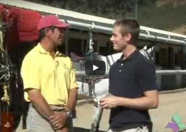 Straddle up and learn to play the ponies at Centaur Polo Club.