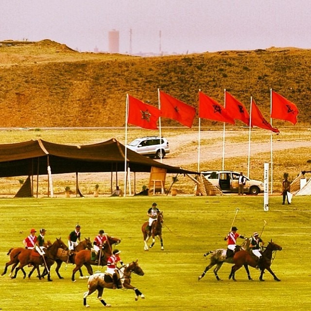 POLO IN AFRICA - WHAT IS THE WAY FORWARD + pictures