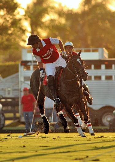 US Open photos-Coca-Cola vs. Lechuza Caracas