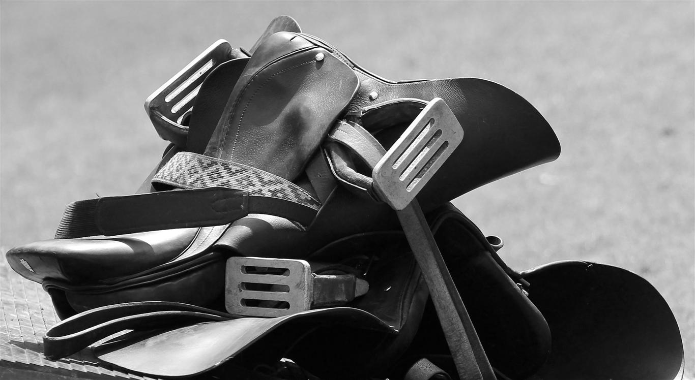 Celine MP- POLO Magazine British Gold Cup 2012 5880