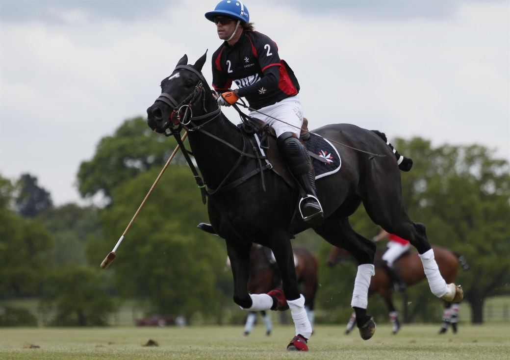 polo tournament queens cup 2013 uk polo celine genonceau polo photograph 16